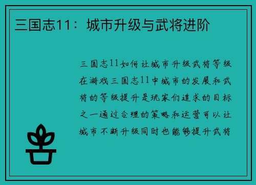 三国志11：城市升级与武将进阶
